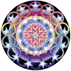 Koda Logo